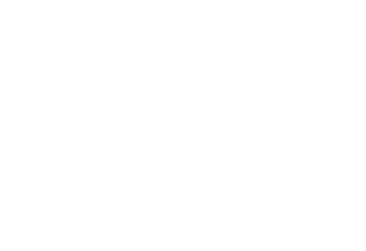 fiestabit_white